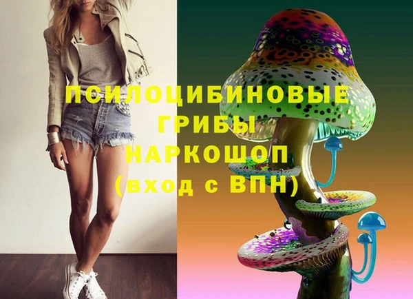 таблы Алзамай