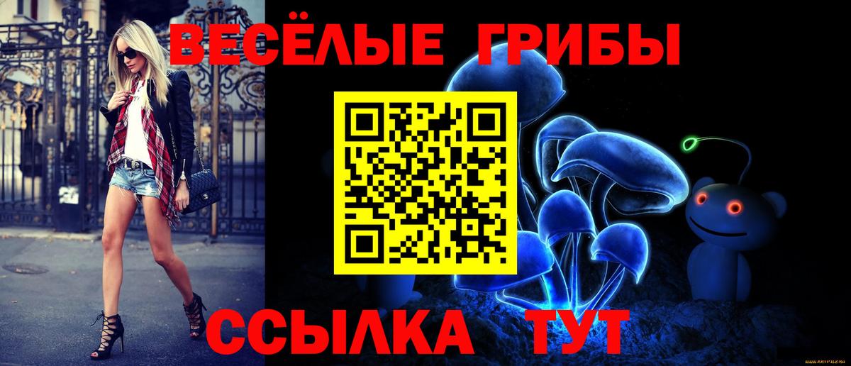 Галлюциногенные грибы Psilocybe Белгород